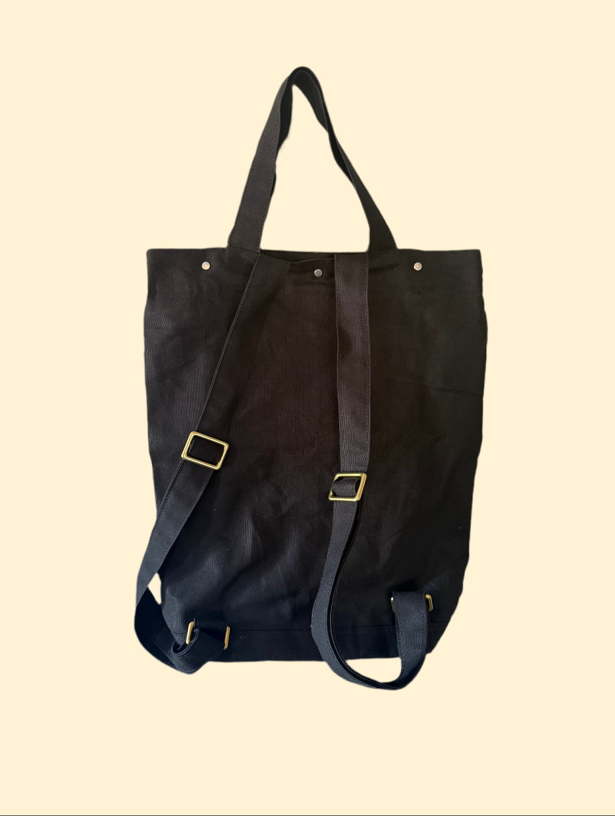 The Bike Tote+